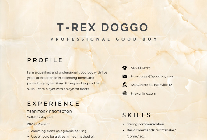 design-and-format-a-personalized-resume-by-castleqingdoms-fiverr